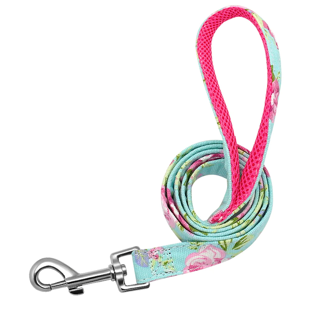 Custom Engraved Dog Collar
