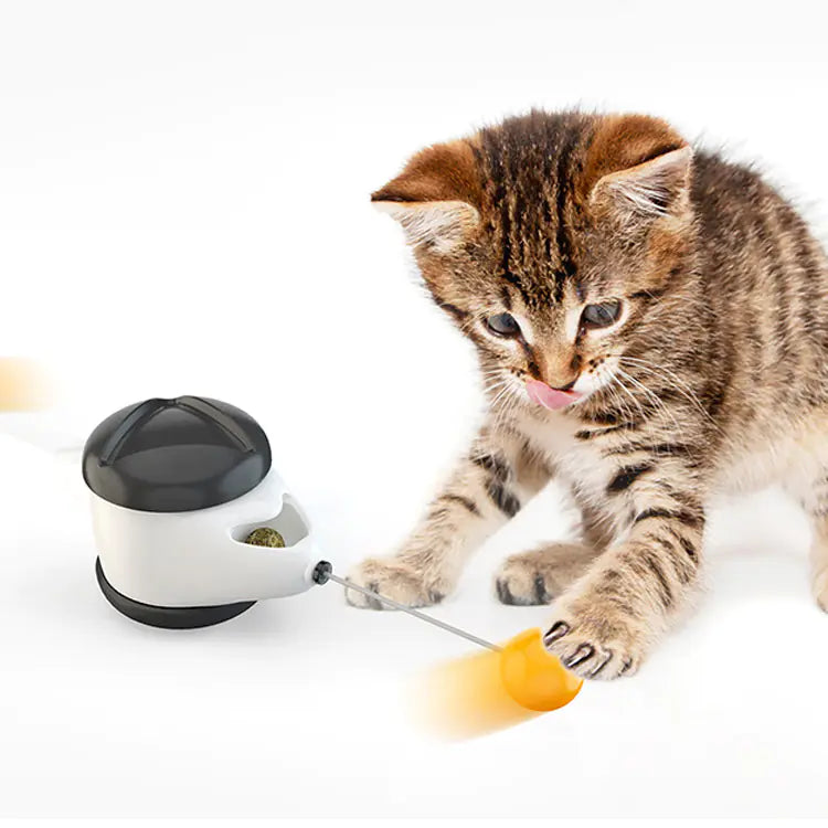 Feline Fun Wobble Toy with Treats