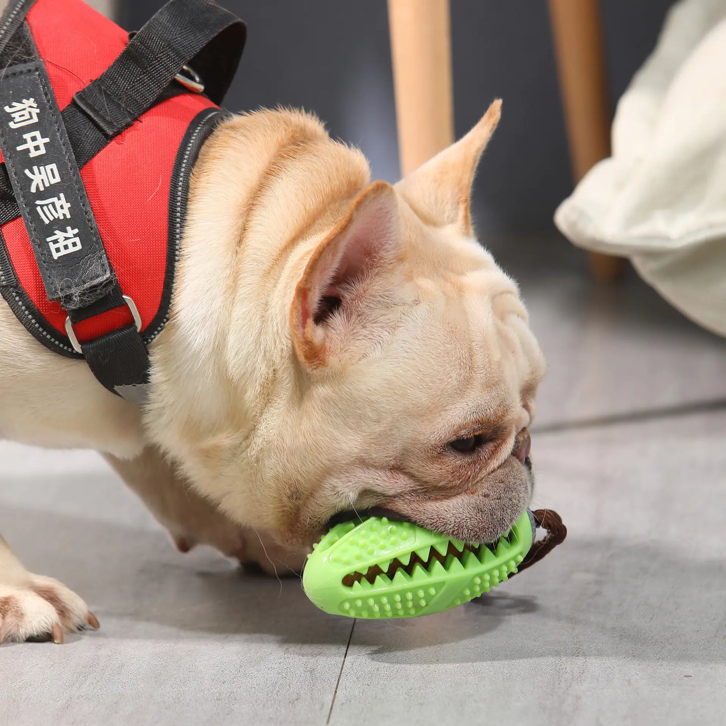 Chew-N-Clean Dental Dog Ball