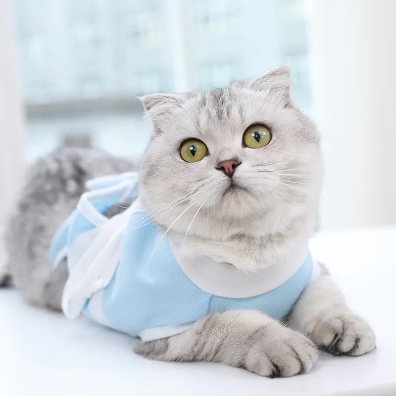Breezy Feline Summer Suit