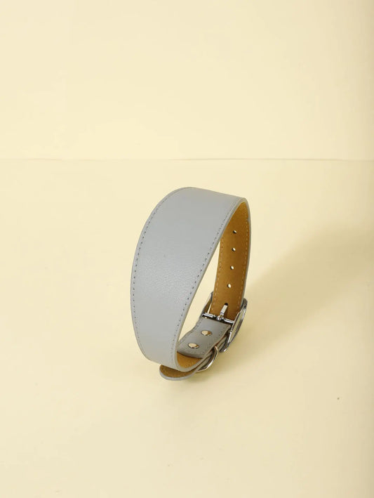 ColorFlex Adjustable Collar